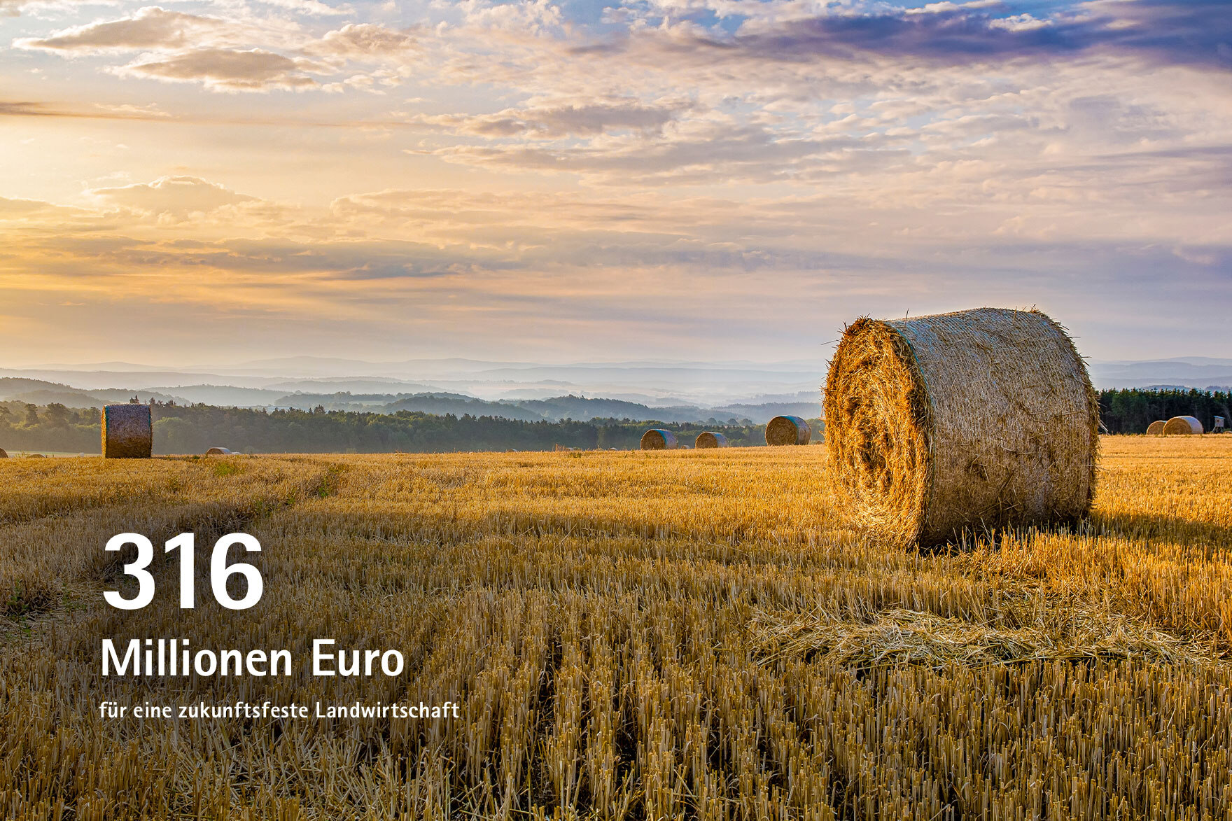 316 Mio. Euro für eine zukunftsfeste Landwirtschaft